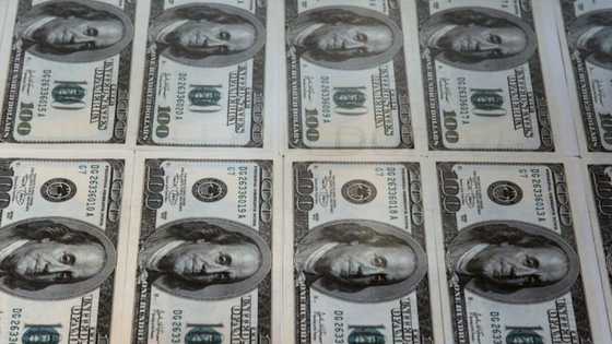 Small US banks use enlarged deposit guarantee to compete with giants
