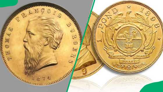 Top 10 most valuable South African coins (with images and infographic)