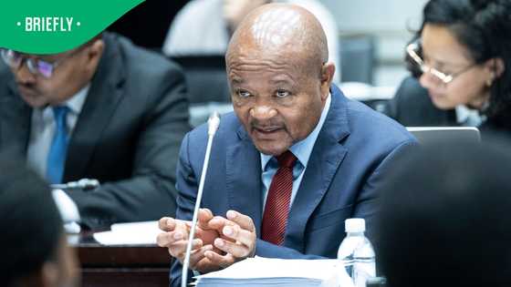 Senzo Mchunu takes full responsibility for letter disbanding the Political Killings Task Team