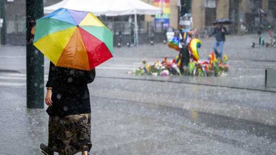 Oslo shooting suspect remanded in custody