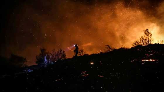 Firefighters battle wildfire in Athens suburbs