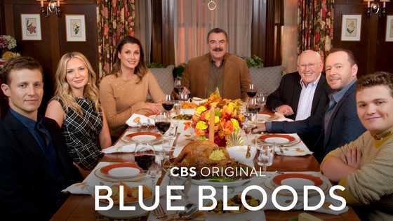 How did Erin die in Blue Bloods season 14? Finale breakdown