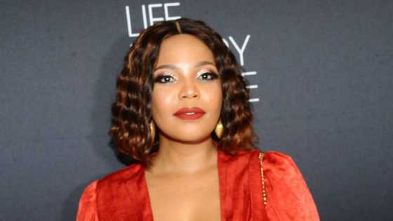 Lotto probe: NPA seizes luxury properties worth R22m, two ocean baskets belonging to Terry Pheto and 8 others