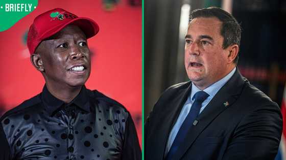 Julius Malema declines to comment on John Steenhuisen's leadership exit plans, South Africans debate