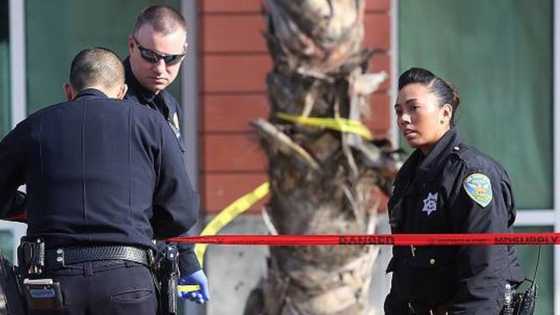 'Law and Order: Organized Crime' crew member shot and killed while filming, police on the hunt for suspects