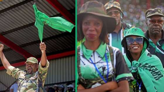 MK party wins 28% of Phongolo by-elections in Kwazulu-Natal, South Africans laugh