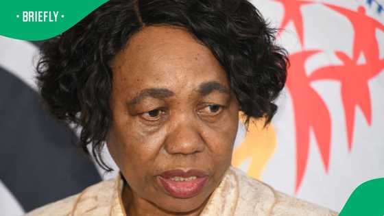 “She didn’t believe her ears”: Angie Motshekga approached with famous ‘Revenge Diaries’ line