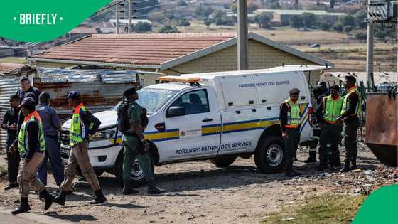 Police investigate after human arm found near Free State bus stop