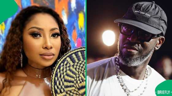 Enhle Mbali and Black Coffee: Video of the couple signing their marriage licence surfaces