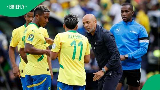 Transfer blow: Sundowns’ R30m offer to sign Ribeiro's replacement turned down