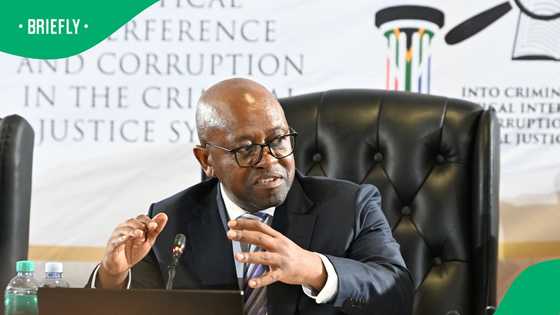 Madlanga Commission halts testimony after secret witness's security compromised