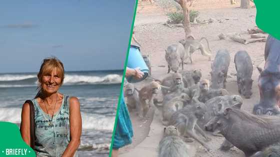 "If I can help even one animal": Zimbabwe woman living among monkeys and hippos turns heads