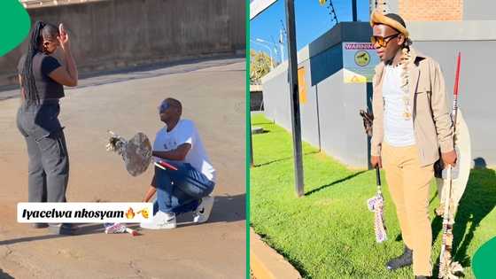 "I need God to bless me with a Zulu man": Gent randomly serenades girl, netizens in love