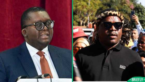 "Good Riddance": Ngizwe Mchunu celebrates Thulasizwe Buthelezi's removal by King Misuzulu