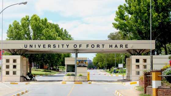 Trio accused of killing Fort Hare employees denied bail, court worried they might eliminate state witnesses