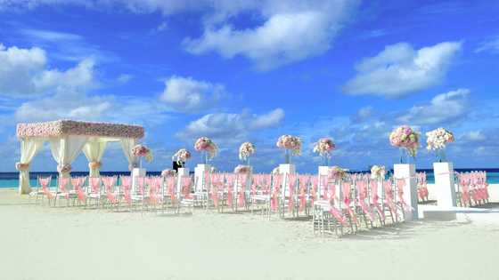 15 amazing beach wedding venues in South Africa with pictures