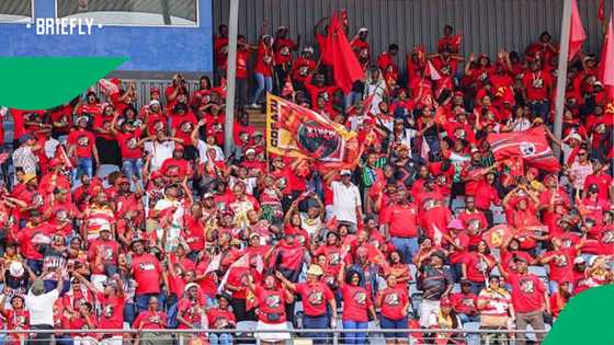 COSATU calls for action on unemployment ahead Of SONA