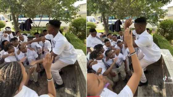 Pretoria Curro schoolboys vibing and dancing to song go TikTok viral, Mzansi cracks jokes over funny video