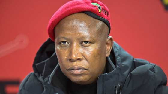 EFF's Julius Malema dedicates Women's Day to Ramaphosa's Phala Phala domestic worker who was allegedly beaten