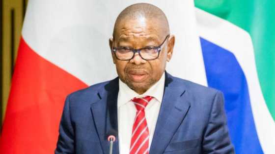 Nzimande backs SIU probe into fraud at NSFAS, says education department is "committed to fighting corruption"