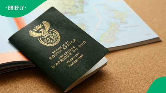 Good news for South Africans abroad who lost citizenship after taking foreign passport