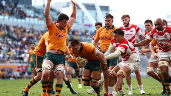Wallabies suffer major setback just days before Springboks clash in Perth