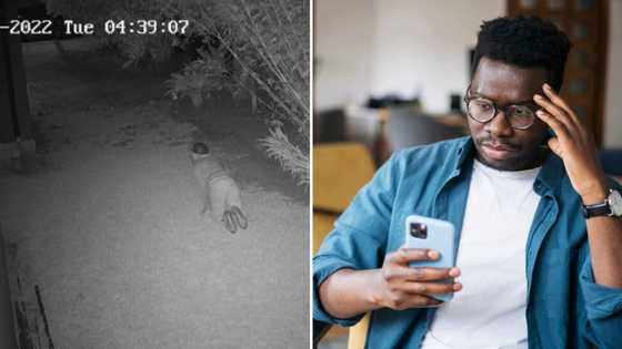 Video of thug crawling while breaking into house has Mzansi wishing the owner had a pit bull: "It’s needed ke"