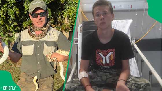 "How did it happen": 15-year-old teen gets bitten by puff adder outside Graafwater