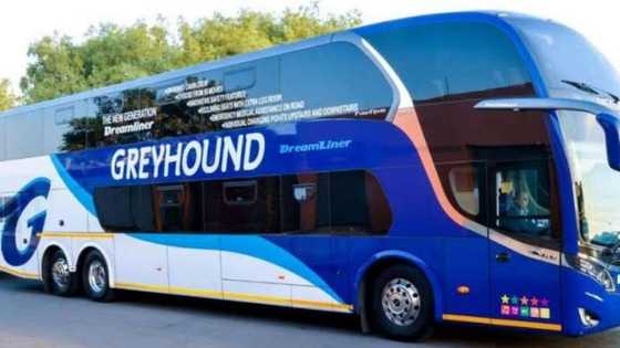 After almost 4 decades Greyhound closes its doors, SA shares memories