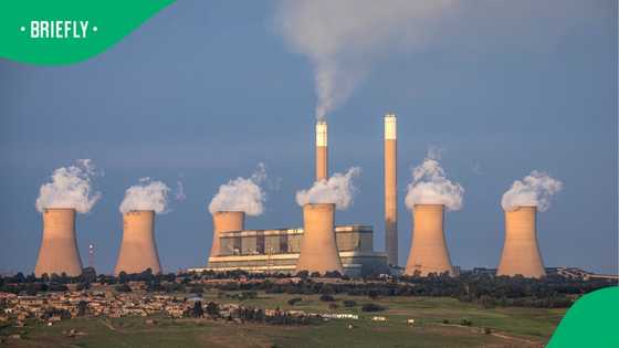 Supreme Court rules against Eskom, coal and diesel contracts must be disclosed to public