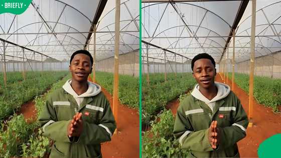 “Beautiful stuff”: Mzansi cheers for 20-year-old managing 10-hectare farm that supplies Woolworths