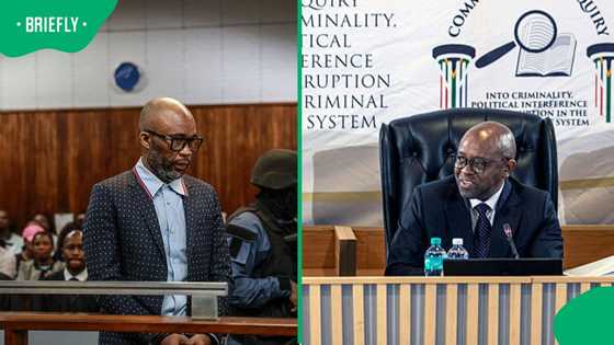 Madlanga Commission rules Cat Matlala cannot use Section 204 to avoid testifying