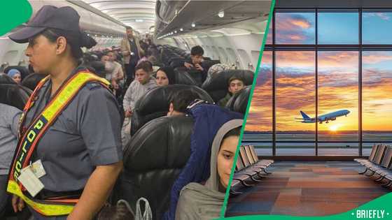 "Appreciate the truth": Palestinian asylum seeker breaks silence on why he fled to SA, sparks debate