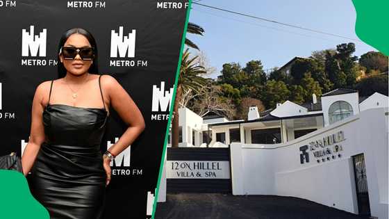 Fact Check: Why Is Lerato Kganyago’s Name Linked to the Madlanga Commission Probe?