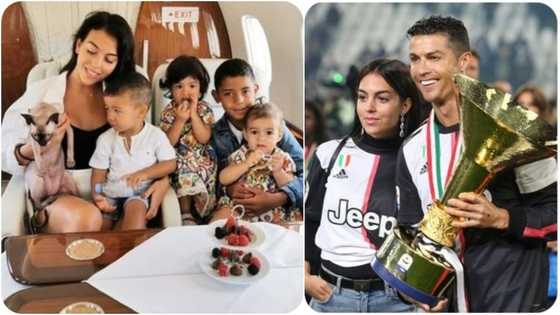 Cristiano Ronaldo's R54k cat escapes death after getting hit by car
