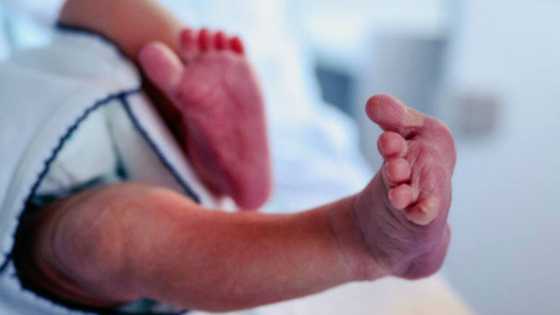 Gauteng public healthcare facilities celebrate the births of 112 babies on New Year's Day, SA stunned