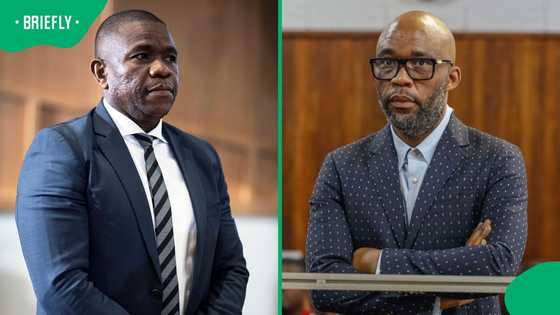 Nhlanhla Mkhwanazi says Cat Matlala vehicles registered as state vehicles