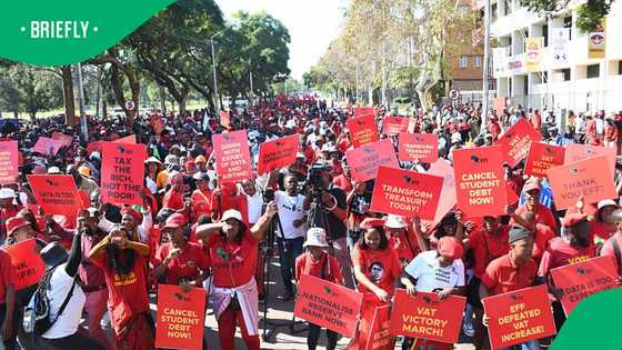 Economic Freedom Fighters march to the Constitutional Court for Phala Phala ruling