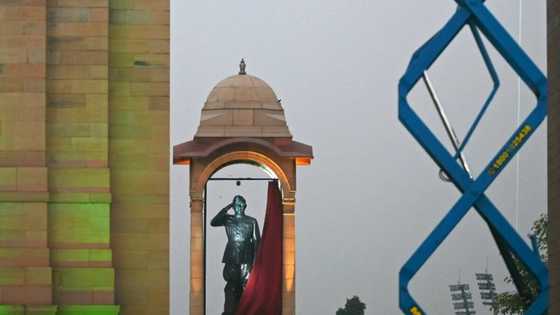 India unveils statue to Nazi-allied independence hero