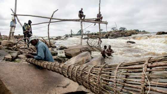 DR Congo fishermen pin hopes on tourism as stocks dwindle