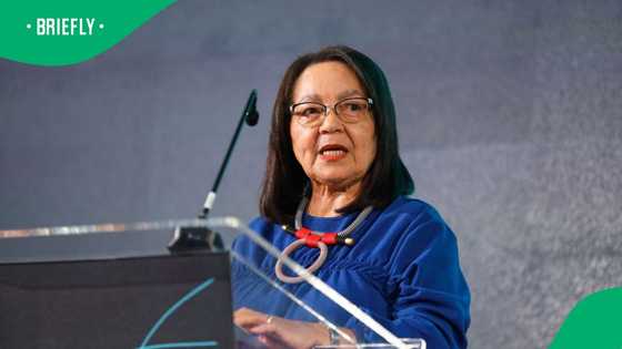 Tourism minister Patricia de Lille dissolves SA Tourism Board, South Africans displeased