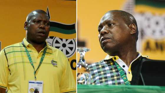 Nominating Ex-Health Minister Zweli Mkhize for the ANC presidency was a no-brainer, says KZN branch