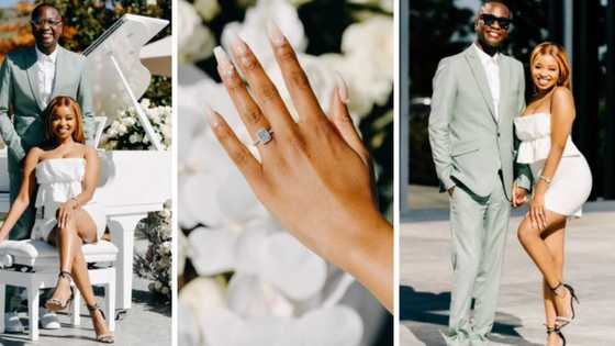 TikTok video of woman’s epic engagement proposal in Cape Town Winelands leaves Mzansi shook: "Like a movie"