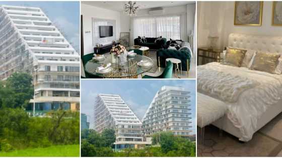 The Signature apartments: Inside the 13-floor building with a movie theatre, spa, studios, other plush amenities