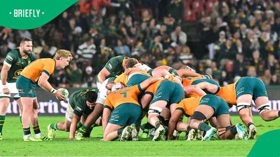 Springboks vs Wallabies: A look at 97 tests of rugby history