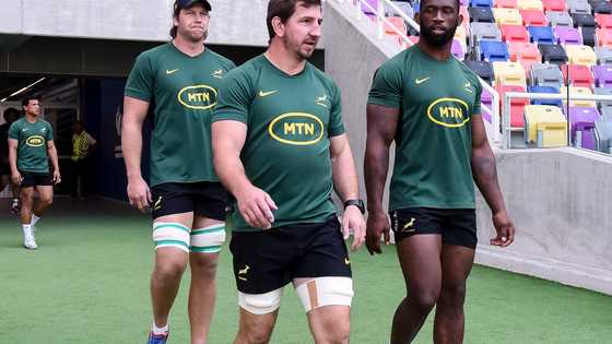 Springboks star ruled out for 2026, to miss All Blacks series