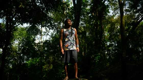 Seeking water, Brazil indigenous group finds new home
