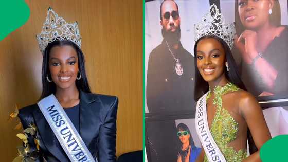 Chidimma gears up to take on Miss Universe: "The journey to Miss Universe has been humbling"