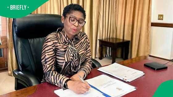 Cabinet approves new employment bill, aimed at regulating number of foreign nationals employed in SA