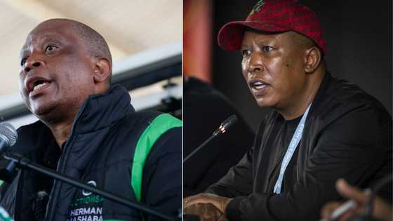 ActionSA and EFF coalition talks come to an end because of the ANC, EFF willing to swallow pride